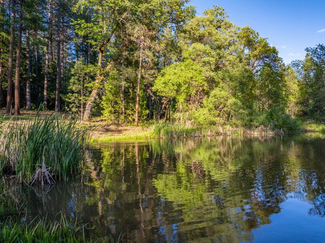 7704 Eastmoore Road, Shingletown, CA 96088