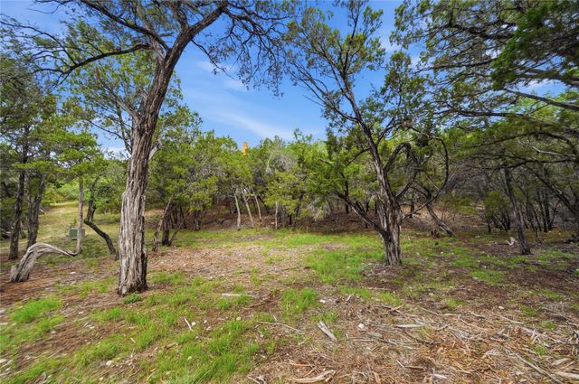 7301 Matisse Pointe DR, Jonestown, TX 78645
