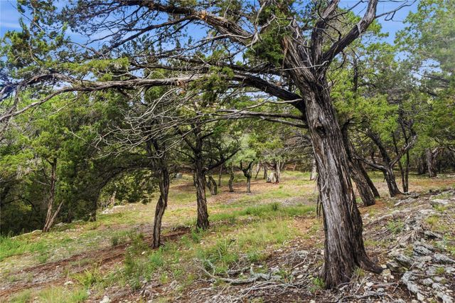 7301 Matisse Pointe DR, Jonestown, TX 78645