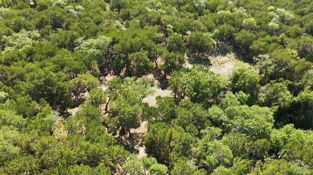 7301 Matisse Pointe DR, Jonestown, TX 78645