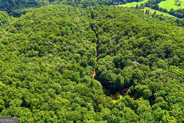 467 Gilliam Road, Mineral Bluff, GA 30559