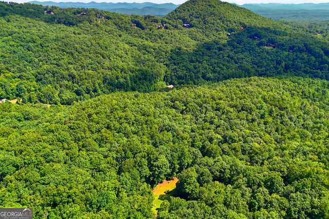 467 Gilliam Road, Mineral Bluff, GA 30559