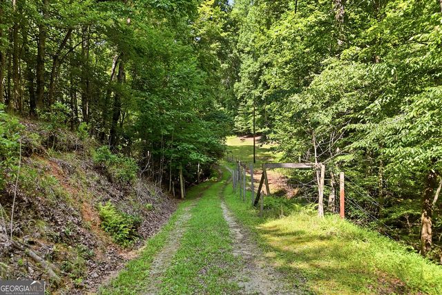 467 Gilliam Road, Mineral Bluff, GA 30559