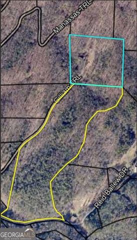 467 Gilliam Road, Mineral Bluff, GA 30559