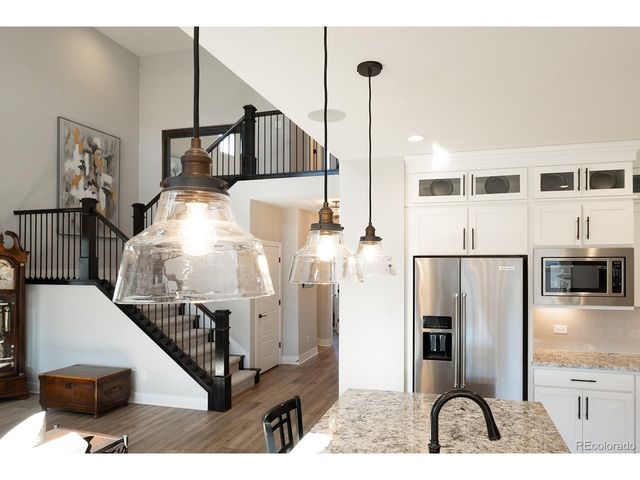 52 Simmental Loop, Castle Rock, CO 80104