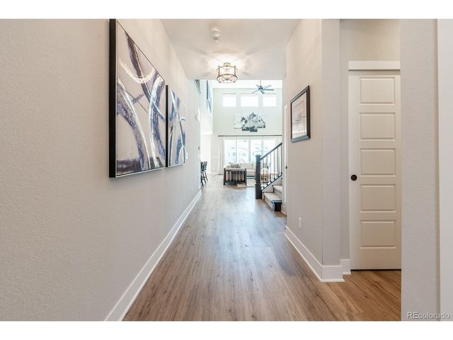 52 Simmental Loop, Castle Rock, CO 80104