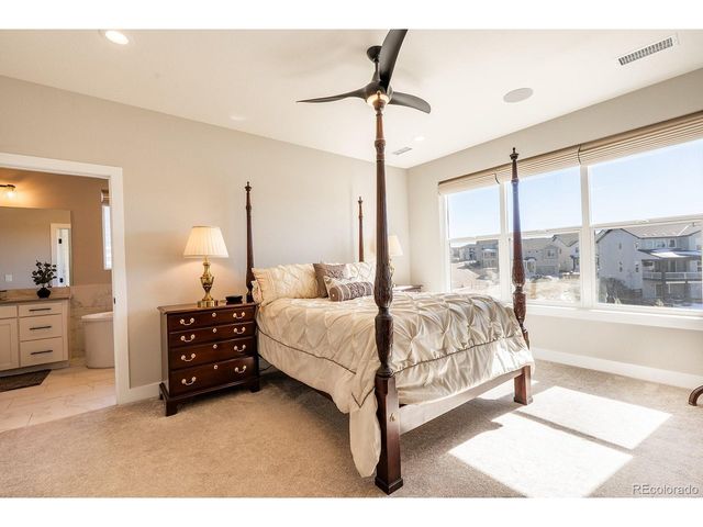 52 Simmental Loop, Castle Rock, CO 80104