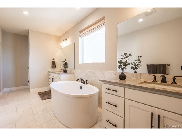 52 Simmental Loop, Castle Rock, CO 80104