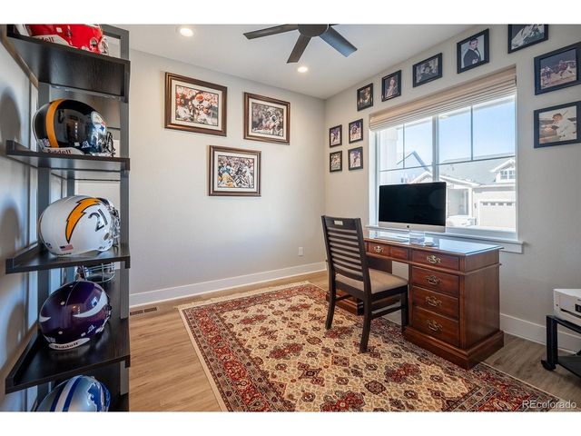 52 Simmental Loop, Castle Rock, CO 80104