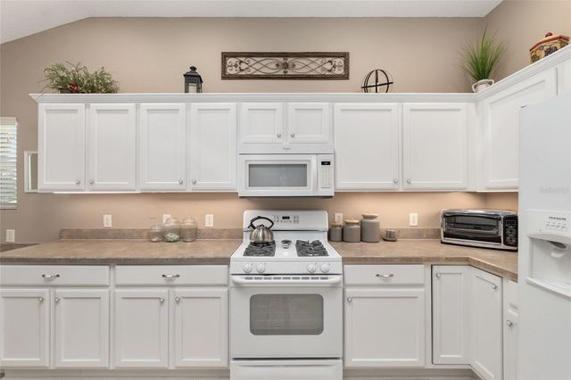 1667 ABERNETHY PLACE, The Villages, FL 32162