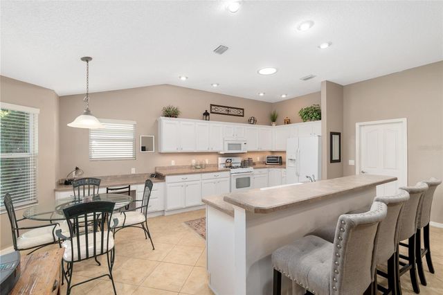 1667 ABERNETHY PLACE, The Villages, FL 32162