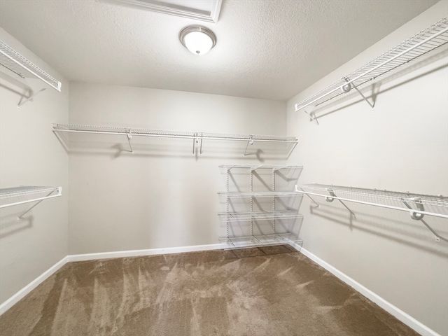 210 Naismith St, Springfield, MA 01104