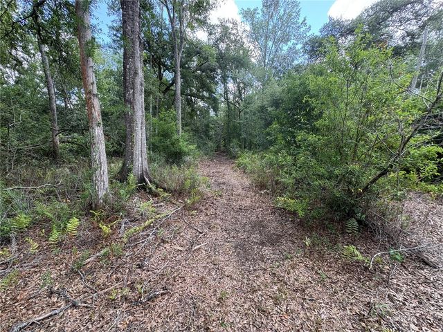 12708 FARMETTES ROAD, Lakeland, FL 33809