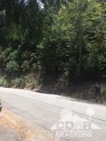 44530 San Pablo, Lake Arrowhead, CA 92260