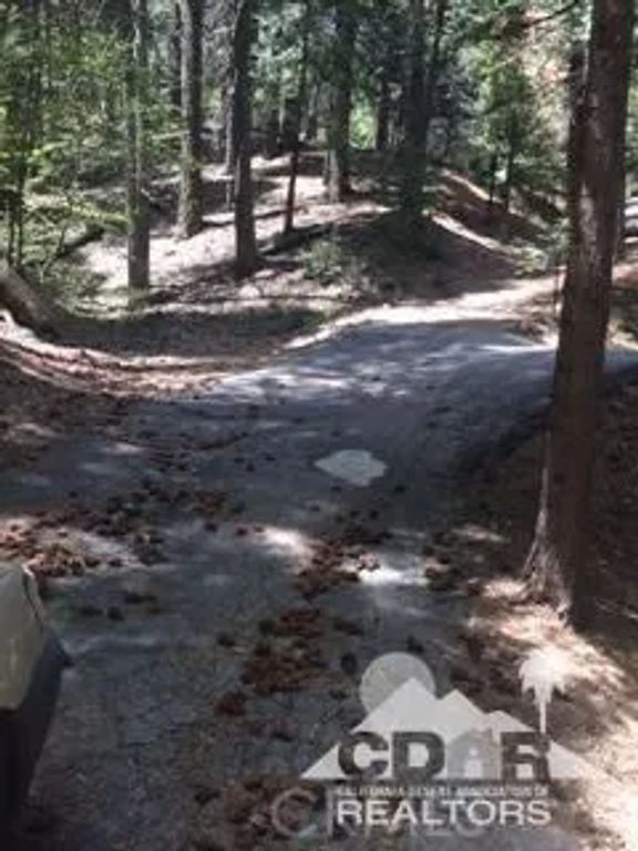 44530 San Pablo, Lake Arrowhead, CA 92260