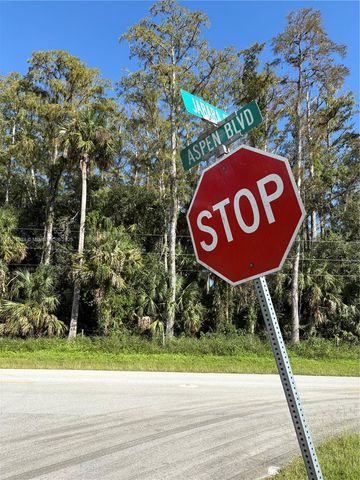 00 Jabara Ct, Other City - In The State Of Florida, FL 33935