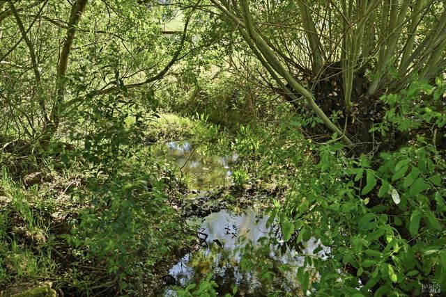 4320 Roblar Rd, Petaluma, CA 94952