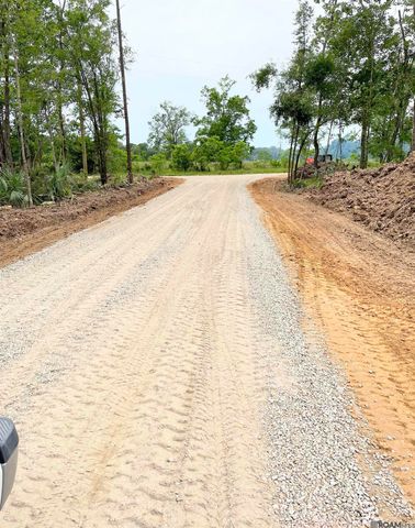 Tract 4 Critter Cove Ln, Livingston, LA 70754