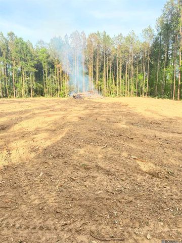 Tract 4 Critter Cove Ln, Livingston, LA 70754