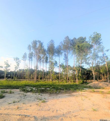 Tract 4 Critter Cove Ln, Livingston, LA 70754