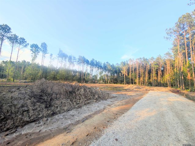 Tract 4 Critter Cove Ln, Livingston, LA 70754