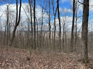 126 Northcutts Cove Road, Beersheba Springs, TN 37305