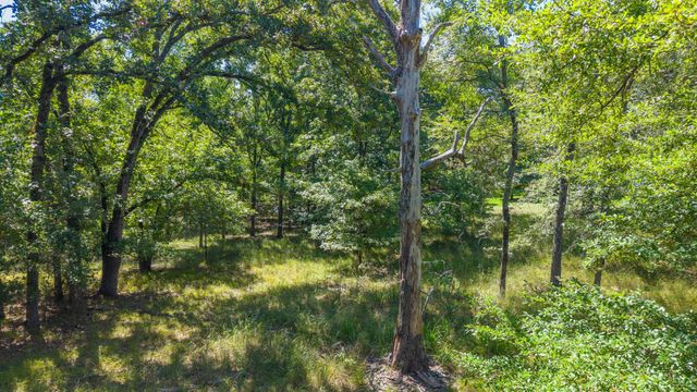TBD 3401, Emory, TX 75440