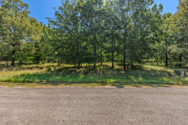 TBD 3401, Emory, TX 75440