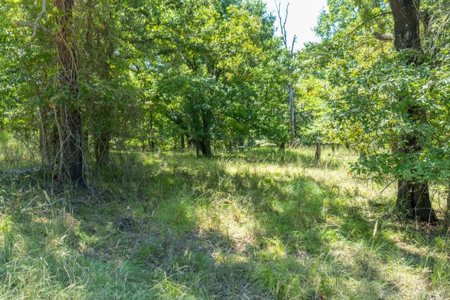 TBD 3401, Emory, TX 75440