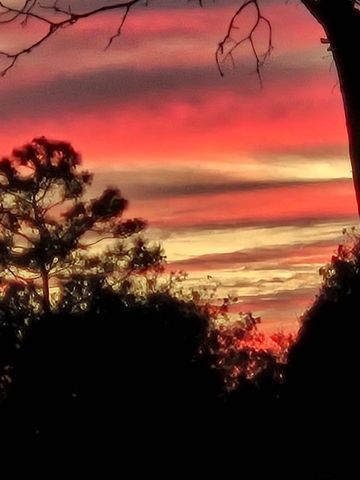 1336 NE 154TH AVENUE, Williston, FL 32696