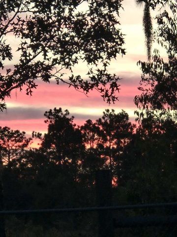 1336 NE 154TH AVENUE, Williston, FL 32696