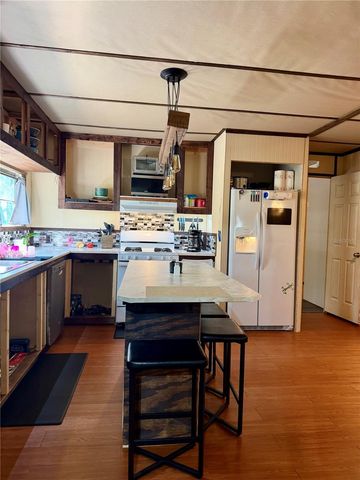 13030 NE 249 COURT, Salt Springs, FL 32134
