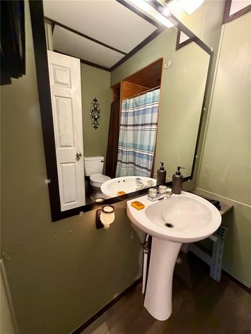 13030 NE 249 COURT, Salt Springs, FL 32134
