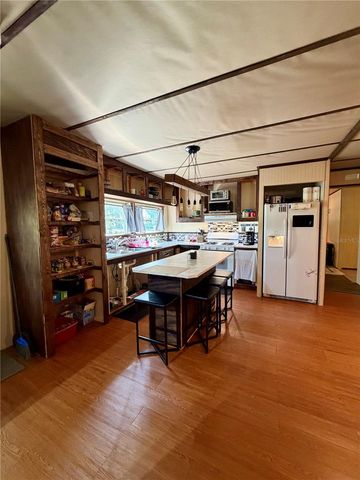 13030 NE 249 COURT, Salt Springs, FL 32134