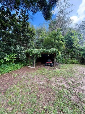 13030 NE 249 COURT, Salt Springs, FL 32134