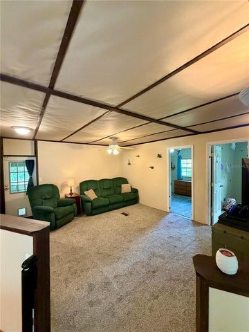 13030 NE 249 COURT, Salt Springs, FL 32134