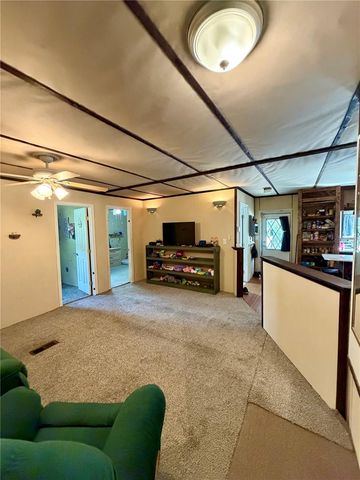 13030 NE 249 COURT, Salt Springs, FL 32134