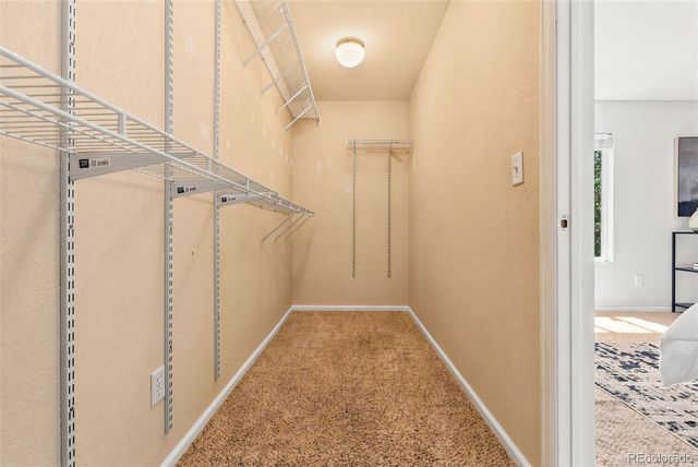 4647 S Tabor Way, Morrison, CO 80465