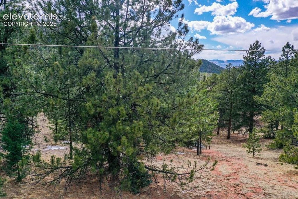 395 WABASH Terrace, Cripple Creek, CO 80813 — exterior