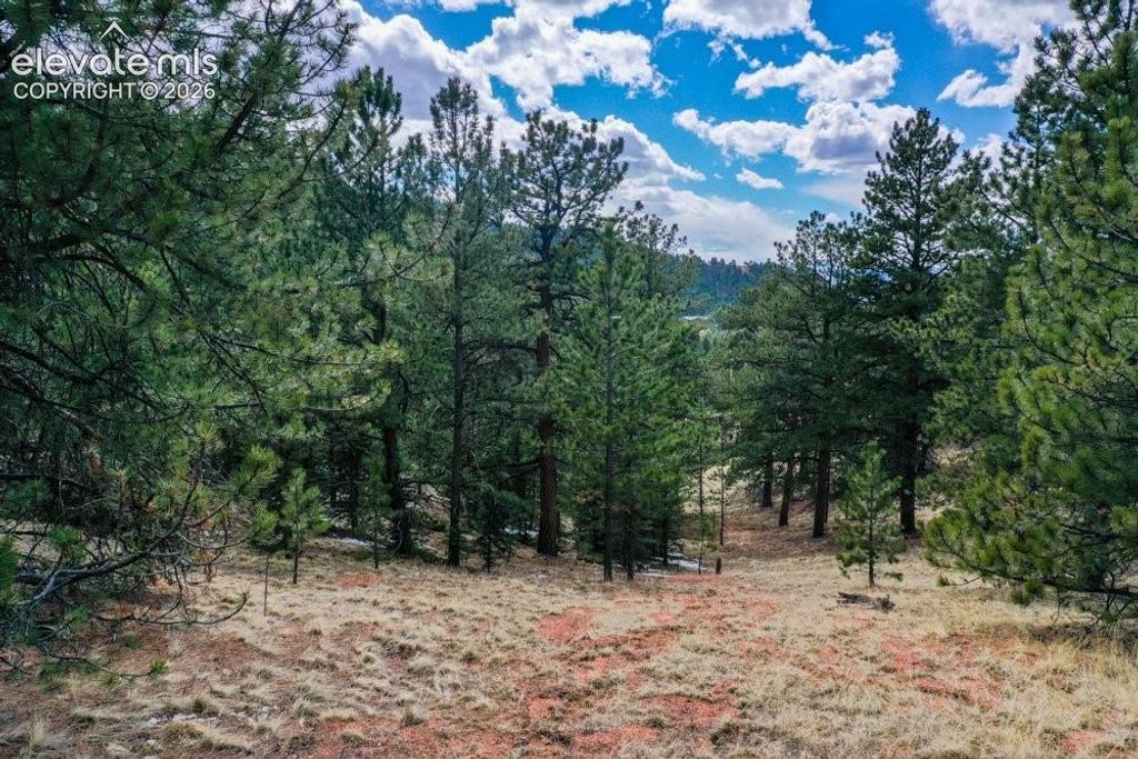 395 WABASH Terrace, Cripple Creek, CO 80813 — photo 2