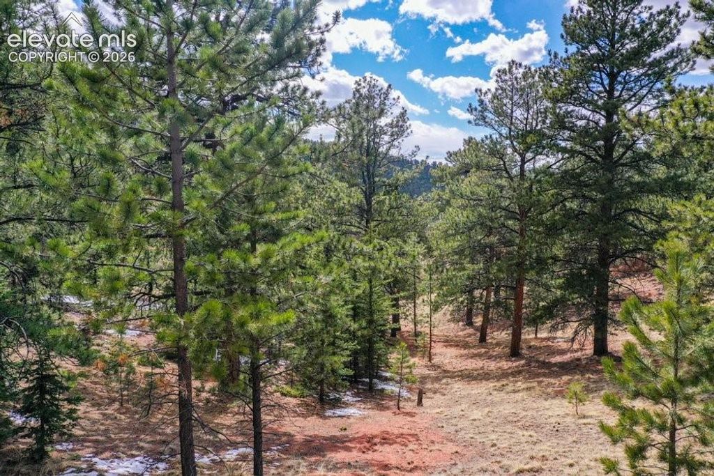 395 WABASH Terrace, Cripple Creek, CO 80813 — photo 4