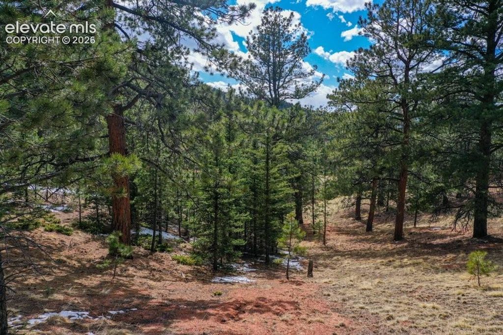 395 WABASH Terrace, Cripple Creek, CO 80813 — photo 5