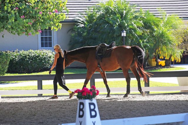 14334 Wellington Trace, Wellington, FL 33414