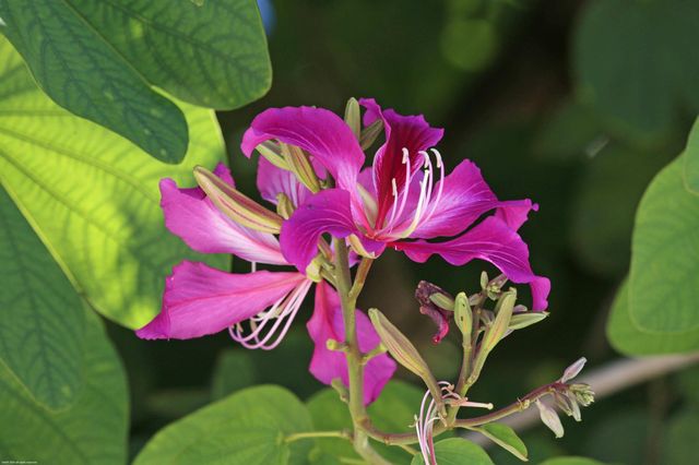 14334 Wellington Trace, Wellington, FL 33414