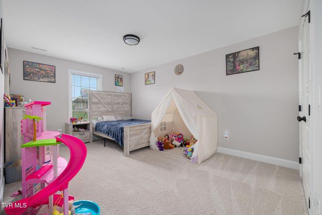 10 Serene Court, Jonesborough, TN 37659
