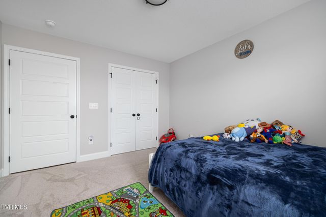 10 Serene Court, Jonesborough, TN 37659