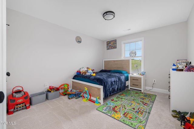 10 Serene Court, Jonesborough, TN 37659