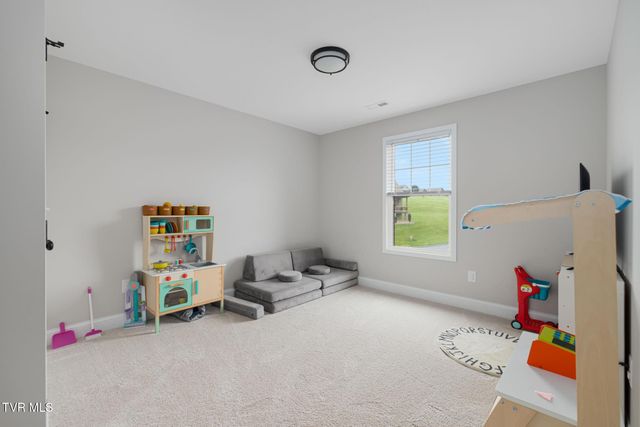 10 Serene Court, Jonesborough, TN 37659