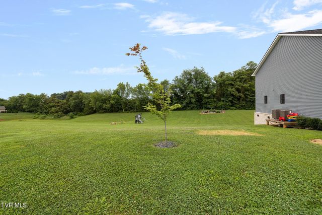 10 Serene Court, Jonesborough, TN 37659