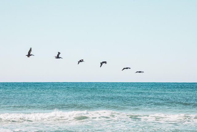 141 Valdare Lane, Inlet Beach, FL 32461